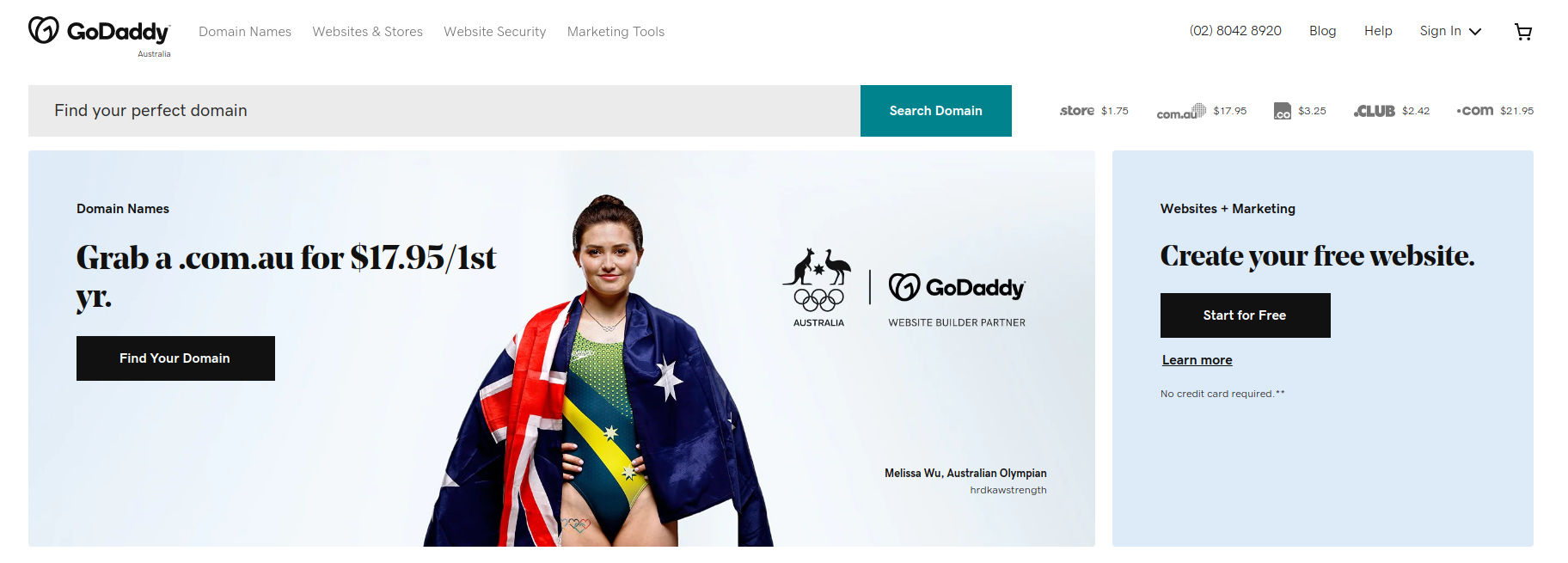 GoDaddy Website